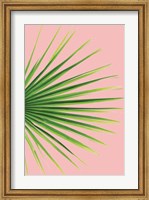 Framed Pink Palm III