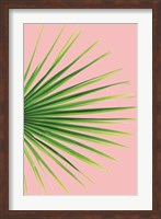 Framed Pink Palm III