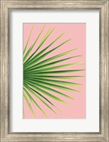 Framed Pink Palm III