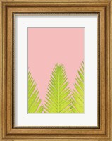 Framed Pink Palm IV