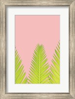 Framed Pink Palm IV