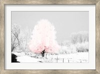 Framed Pink Tree