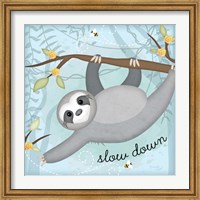 Framed Slow Down Sloth