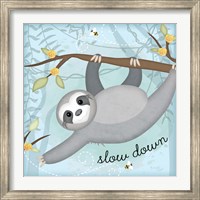 Framed Slow Down Sloth