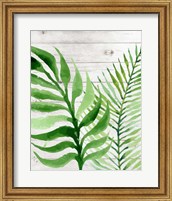 Framed Banana Leaf II