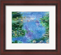 Framed Water Lilies III