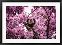 Framed Blossem Tree Monkey II