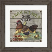 Framed 'Farm to Table - Poultry' border=