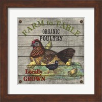 Framed 'Farm to Table - Poultry' border=