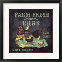 Framed 'Farm Fresh Eggs' border=
