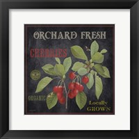 Framed Orchard Fresh Cherries