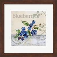 Framed 'Tutti Fruiti Blueberries' border=