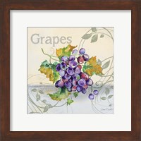 Framed 'Tutti Fruiti Grapes' border=