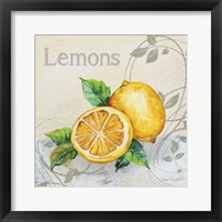 Framed 'Tutti Fruiti Lemon' border=