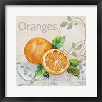 Framed 'Tutti Fruiti Orange' border=