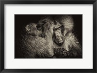 Framed Baboon II Sepia