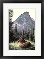 Framed Yellowstone Elk