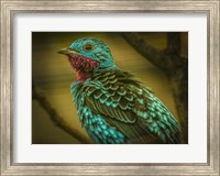 Framed Colorfull Bird V