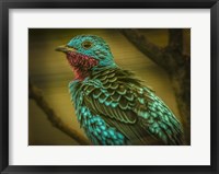 Framed Colorfull Bird V