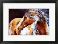 Framed Mohican Indian War Horse