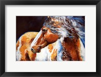 Framed Mohican Indian War Horse