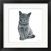 Framed Cutie Kitties VI