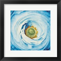 Framed White Peony with Blue