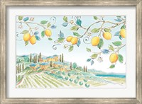 Framed Mediterranean Breeze I