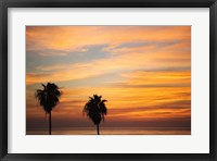Framed Sunset Palms III