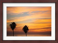 Framed Sunset Palms III
