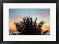 Framed Sunset Palms II