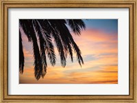 Framed Sunset Palms I