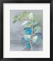 Framed 'Fresh II Light' border=