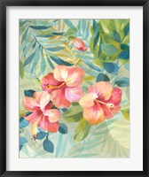 Framed Hibiscus Garden III