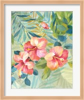 Framed Hibiscus Garden III