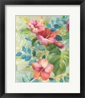 Framed 'Hibiscus Garden II' border=