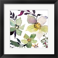 Hellebore Ya Doing III Framed Print