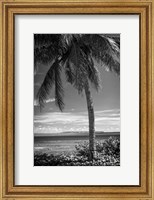 Framed Ocean View