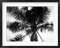 Framed Palm Tree Looking Up III