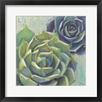 Succulents I Crop Framed Print