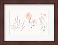 Framed Flowers on White VIII Contemporary