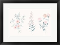 Framed Flowers on White IX Contemporary