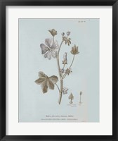 Framed Conversations on Botany VII Blue