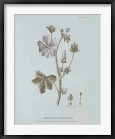 Framed Conversations on Botany VII Blue
