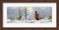Framed Pheasants