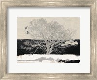Framed Silver Tree