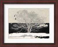 Framed Silver Tree