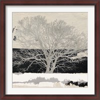 Framed Silver Tree (detail)
