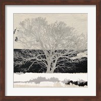 Framed Silver Tree (detail)