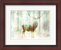 Framed Lord of the Woods